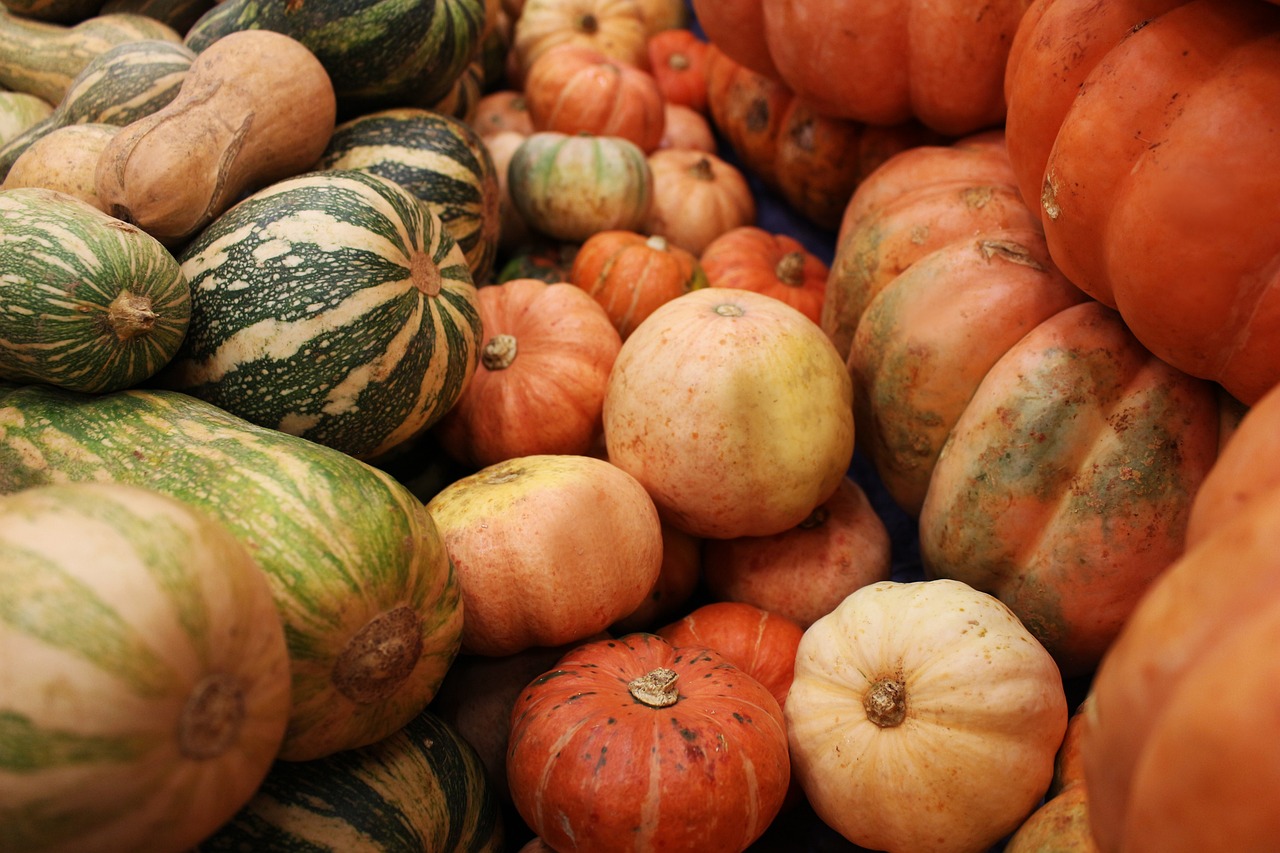 최고의 단호박 고르는 요령