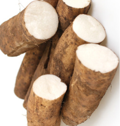 마의 주요 성분 및 마가 다른 건강식품보다 좋은 점 그리고 마즙의 효능 및 마즙 섭취 시 주의 사항