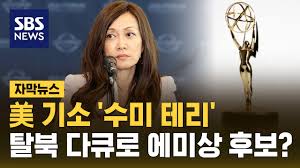 수미 테리는 대한민국의 국익을 위하여 일한 국제관계 전문가