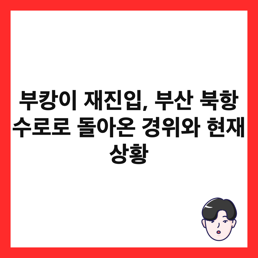부캉이 재진입, 부산 북항 수로로 돌아온 경위와 현재 상황 썸네일