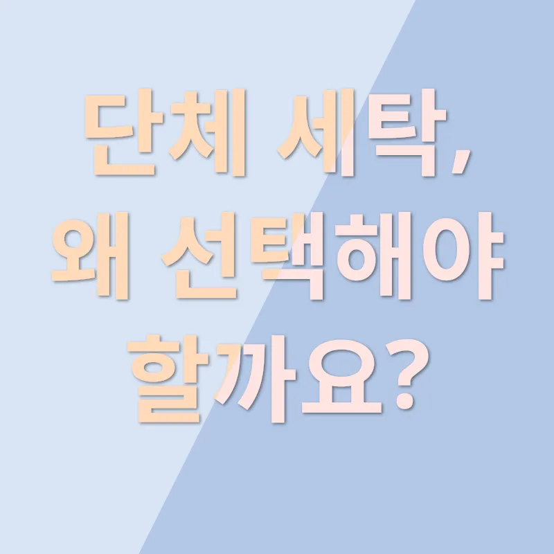 단체 세탁 효율성_1