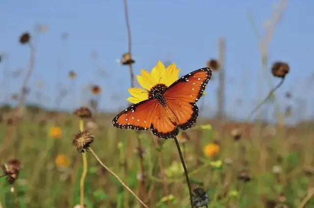 국비 교육으로 시작 가능한 프리랜서 직종