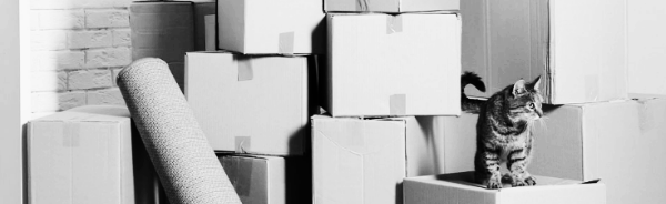 서비스 추가 시 비용 상승