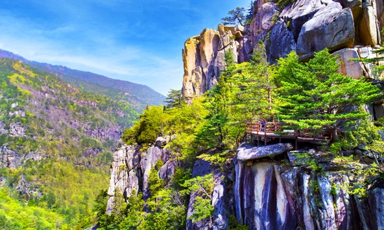 무릉계곡 관련 홍보영상 이미지