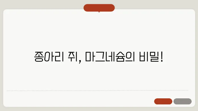 종아리 쥐나는 이유와 해결법, 마그네슘 부족 때문?