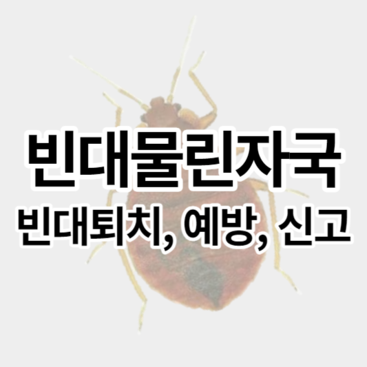 빈대물린자국_썸네일