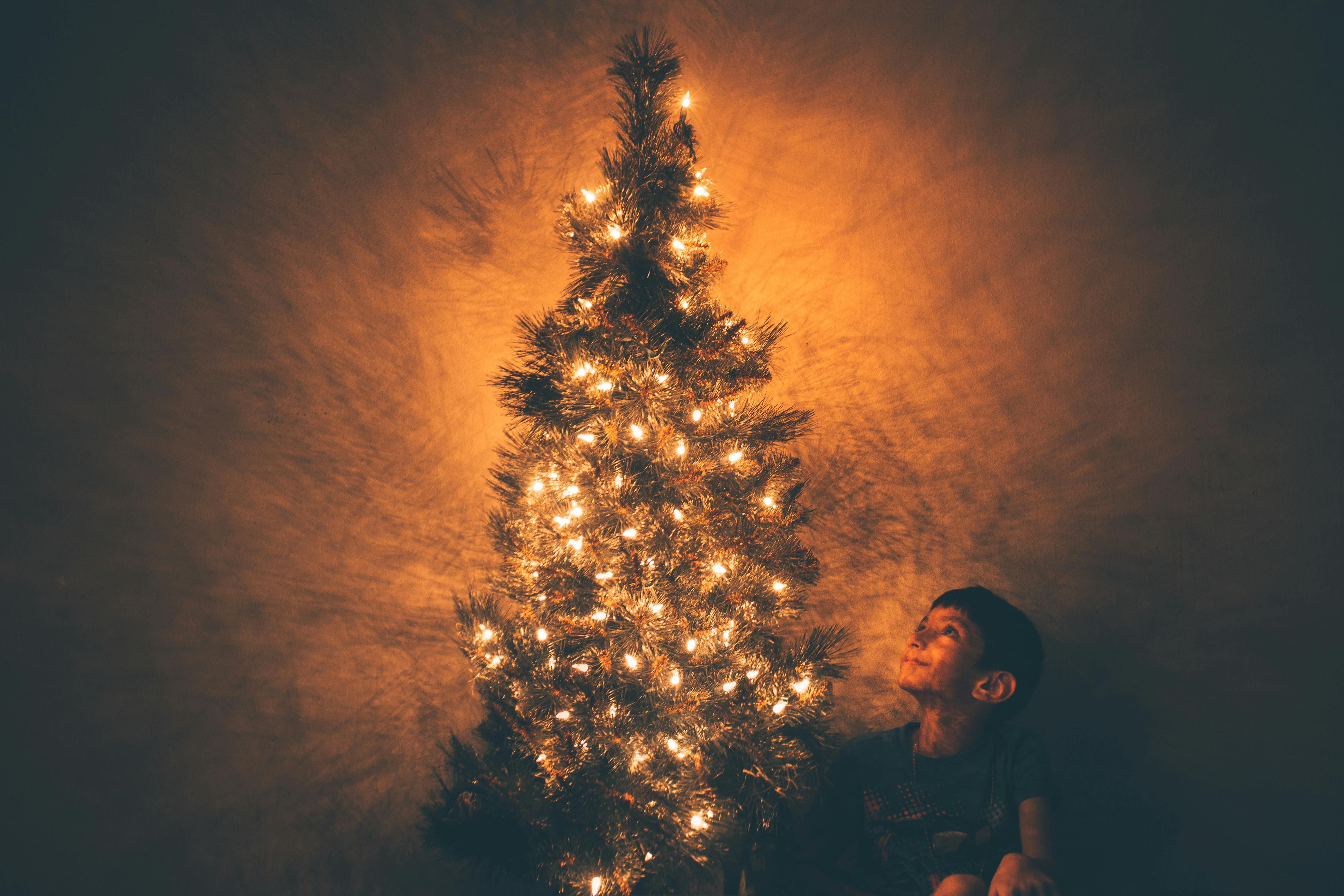 2024 더현대 크리스마스 예약