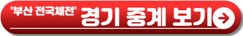 부산 전국체전