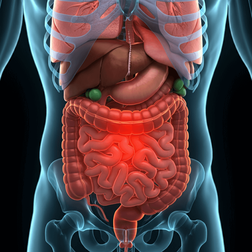 배 당기는 통증 장이 꼬인 것 같은 통증 배 복통 원인 배 복통 치료 장 폐색 증상 과민성 대장 증후군 통증 맹장염 초기 증상 소화불량 원인과 해결 여성 생리통 통증 복부 대동맥류 위험