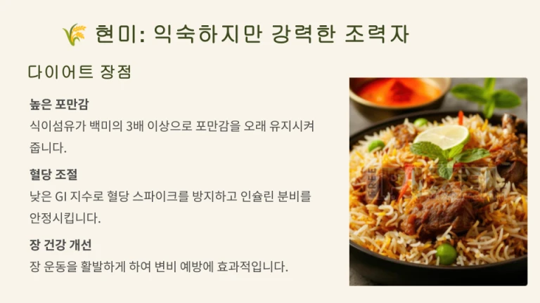 현미 다이어트의 장점을 설명한 인포그래픽