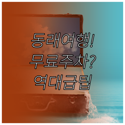 1월 부산 동래구 여행지 주차 정보와..