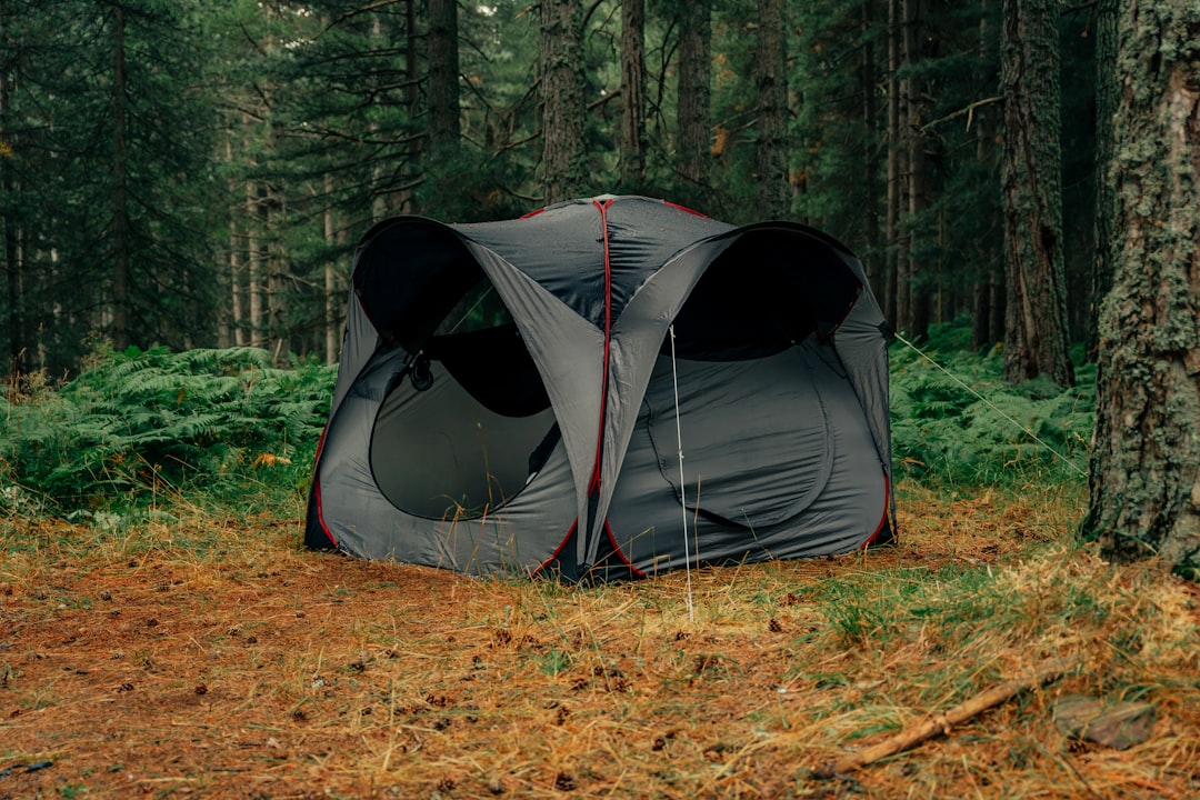 Campsite.