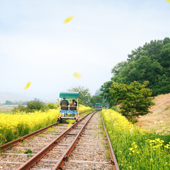 신정호 석갈비&amp;#44; 6시 내고향이 선택한 맛! 아산 대표 석갈비 찐 맛집 솔직 후기