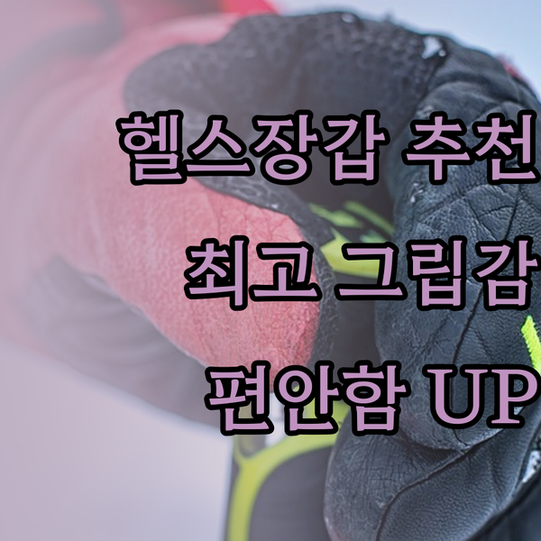 헬스장갑 추천 3종 비교분석 최고의