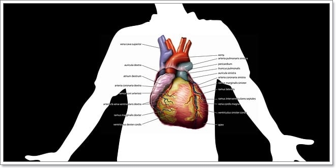 고혈압의 증상과 원인을 알면 관리만이 최선