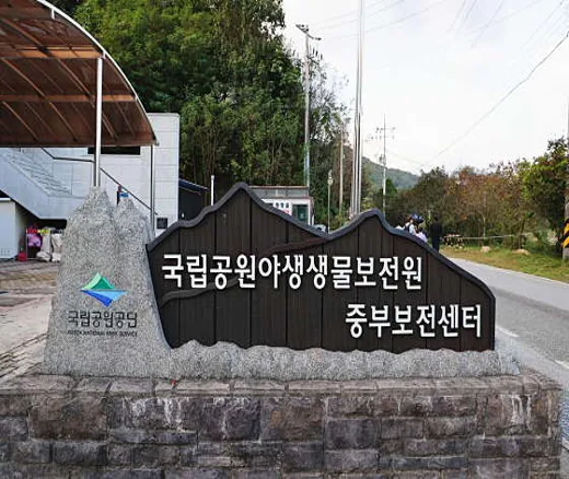 여우 생태관찰원