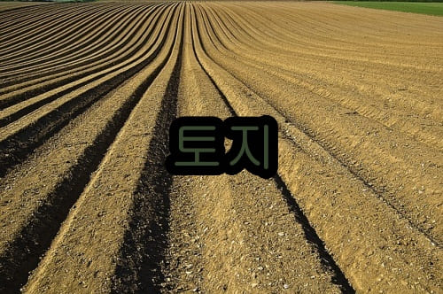 비사업용토지 양도세