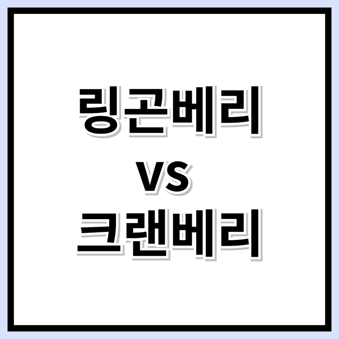 혈당 관리 & 항산화 효과! 링곤베리부터 크랜베리까지 베리류 A-Z