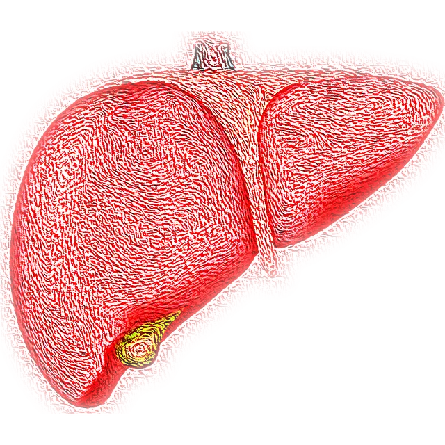 간경화 초기증상&amp;#44; 꼭 알아야 할 정보 총정리