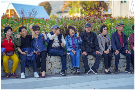 기초연금 40만원