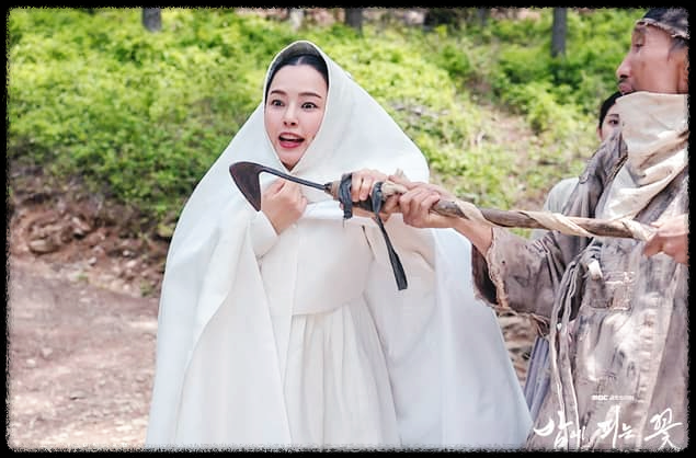 밤에 피는 꽃
