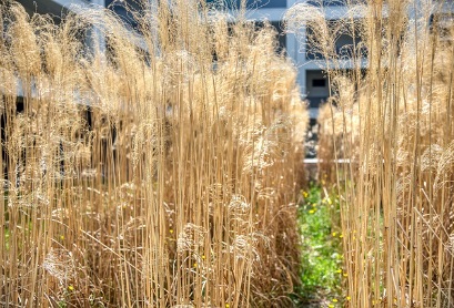 수도권 신규택지 발표-그린벨트 해제- 서리풀 고양대곡 의왕오전왕곡 의정부용현
