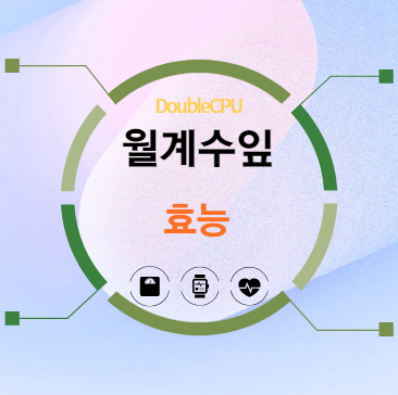 월계수잎 효능 탐구