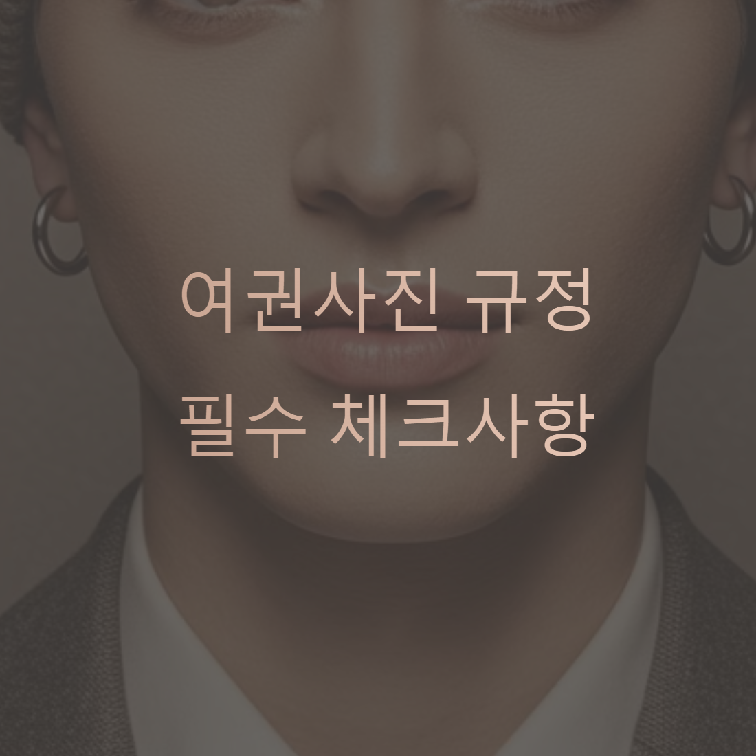 여권 사진 규정