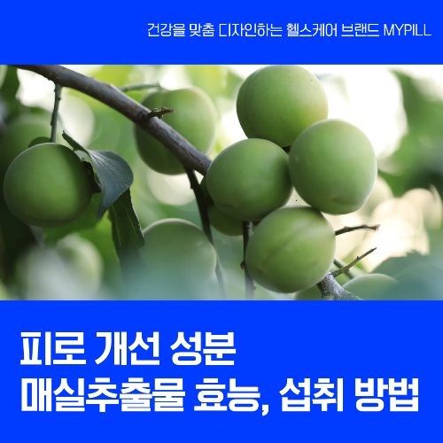 피로개선 성분 매실추출물