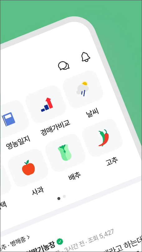 팜모닝