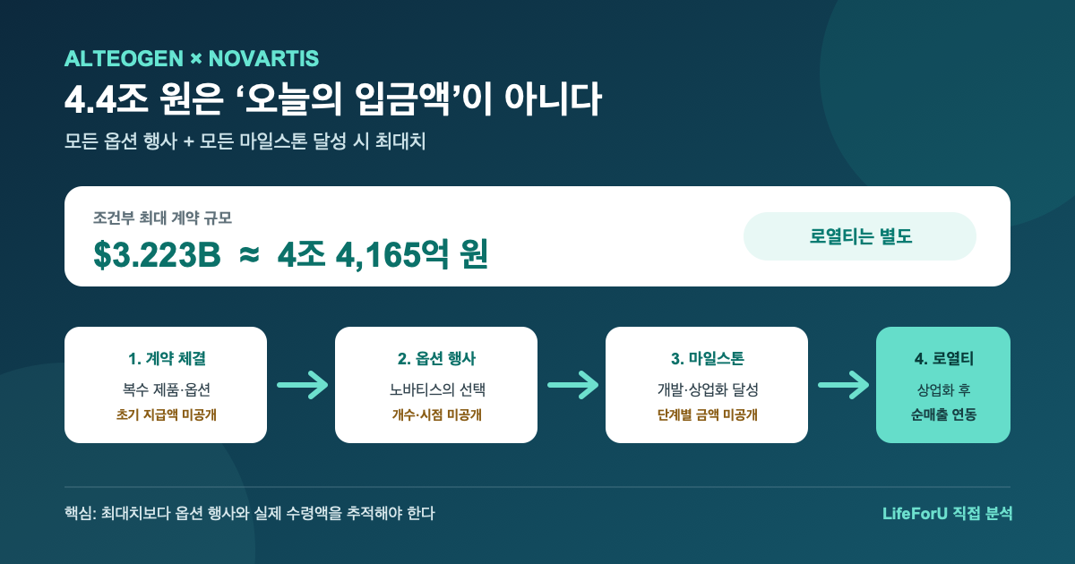 알테오젠 노바티스 최대 4조 4165억원 계약을 옵션 행사, 마일스톤, 판매 로열티로 나눈 구조도