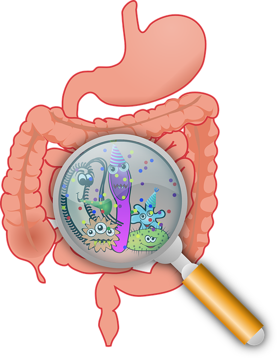장 건강과 정신 건강의 관계 – 장내 미생물과 뇌축(Gut-Brain Axis)의 숨겨진 비밀