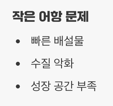 5. 작은 몸집에 대한 오해, '너무 작은 집'