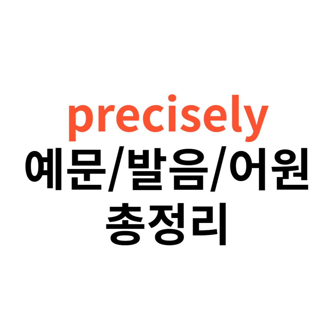 precisely 뜻