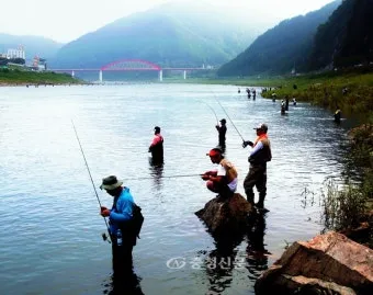 5월 쏘가리 금어기 시작 전국 금지 기간 완벽 정리와 낚시 규정_4