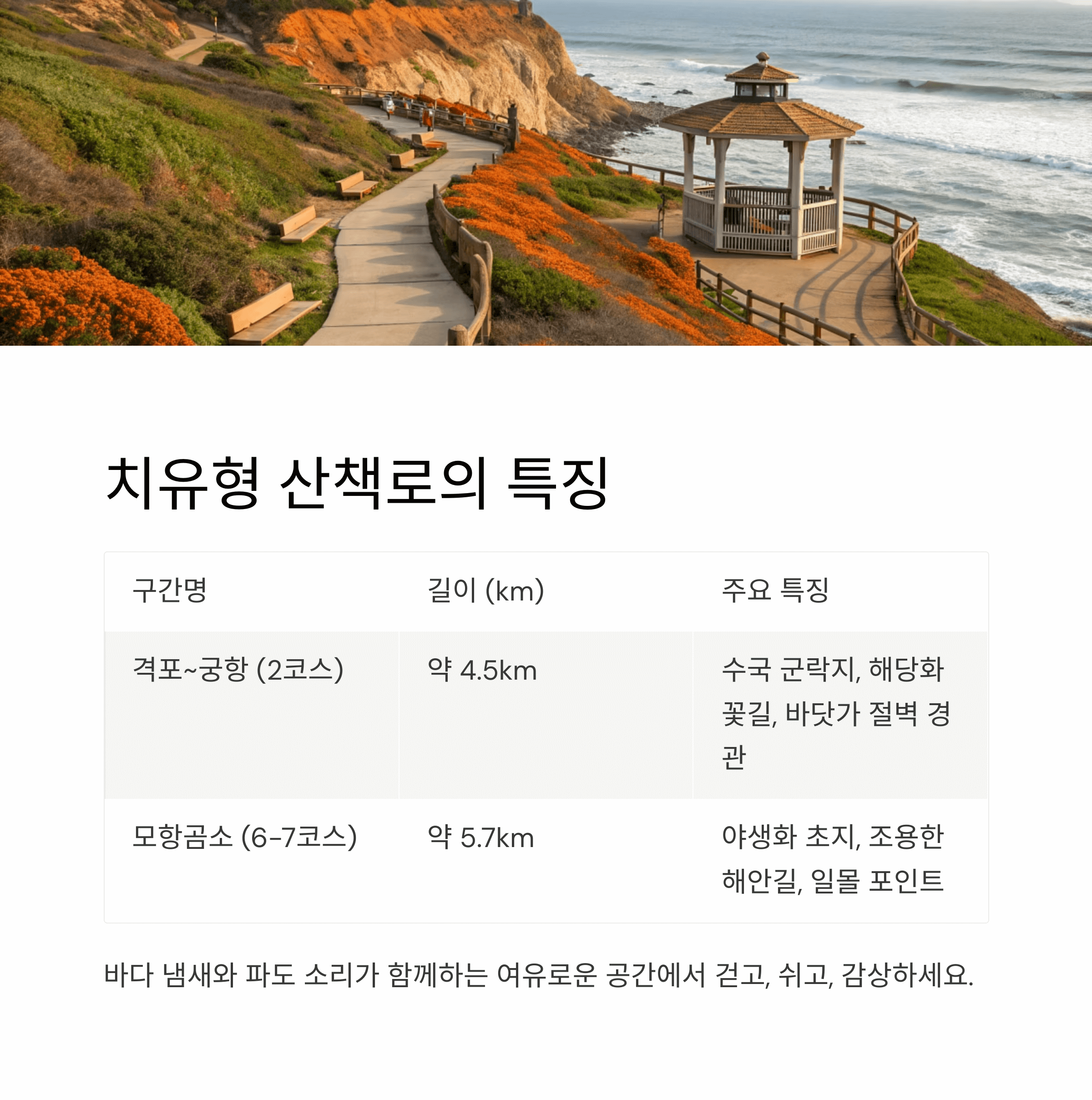 해당화 피어있는 절벽 해안길 전망대