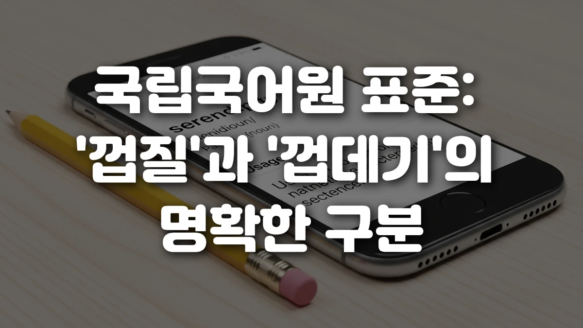 국립국어원 표준 껍질 과 껍데기 의 명확한 구분