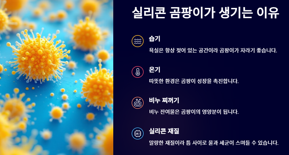 실리콘 곰팡이가 생기는 이유