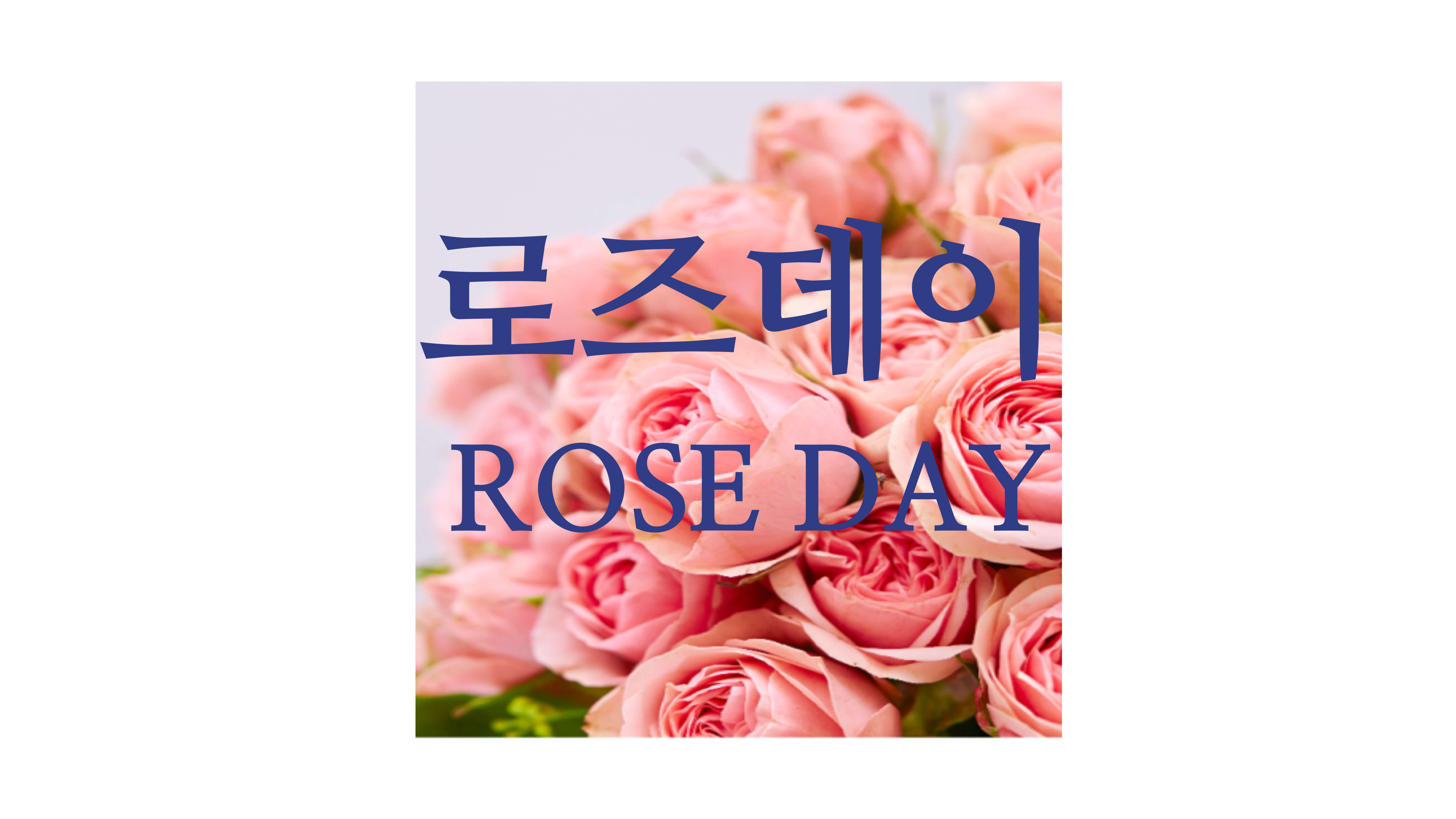 로즈데이 썸네일