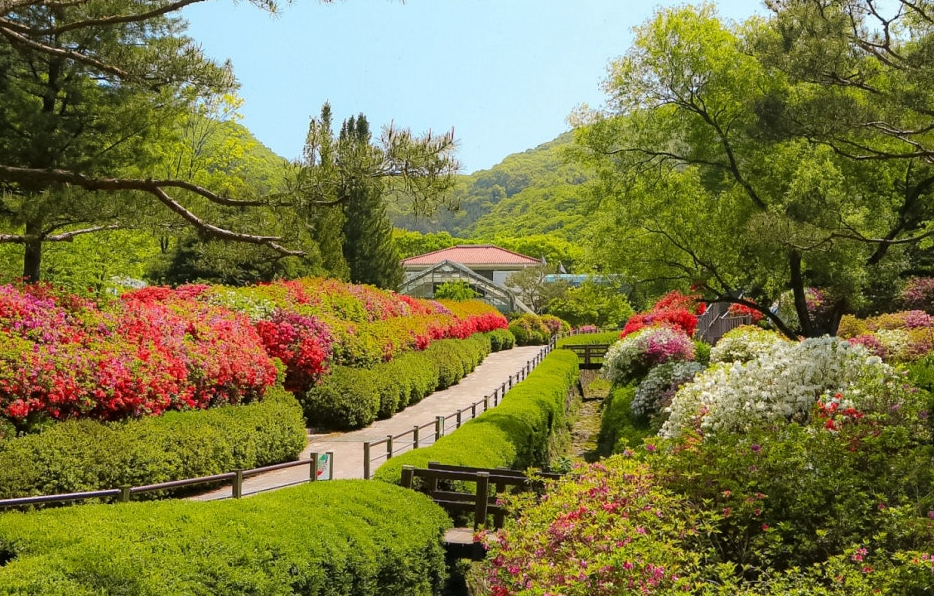 완주 대아수목원