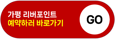 가평 빠지 펜션 놀이기구 패키지 가격 가성비 추천