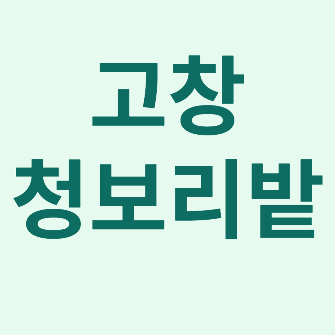 고창청보리밭