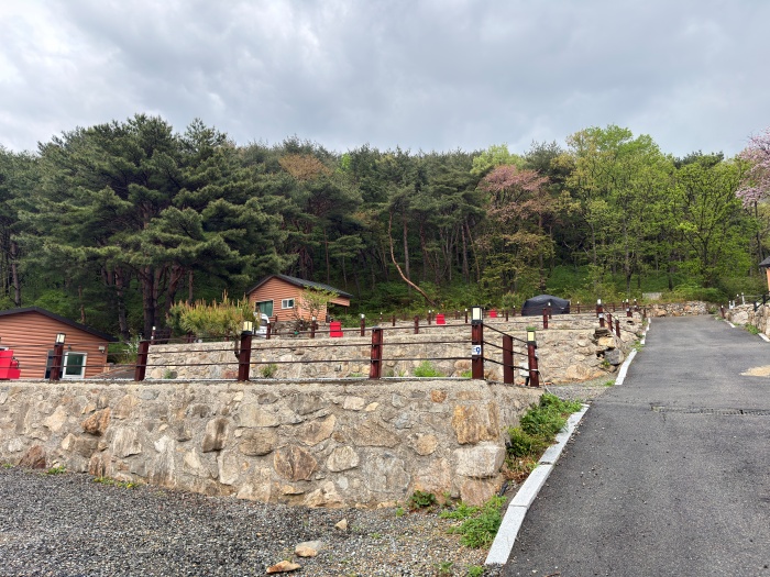 포레스트 캠핑장 E 사이트