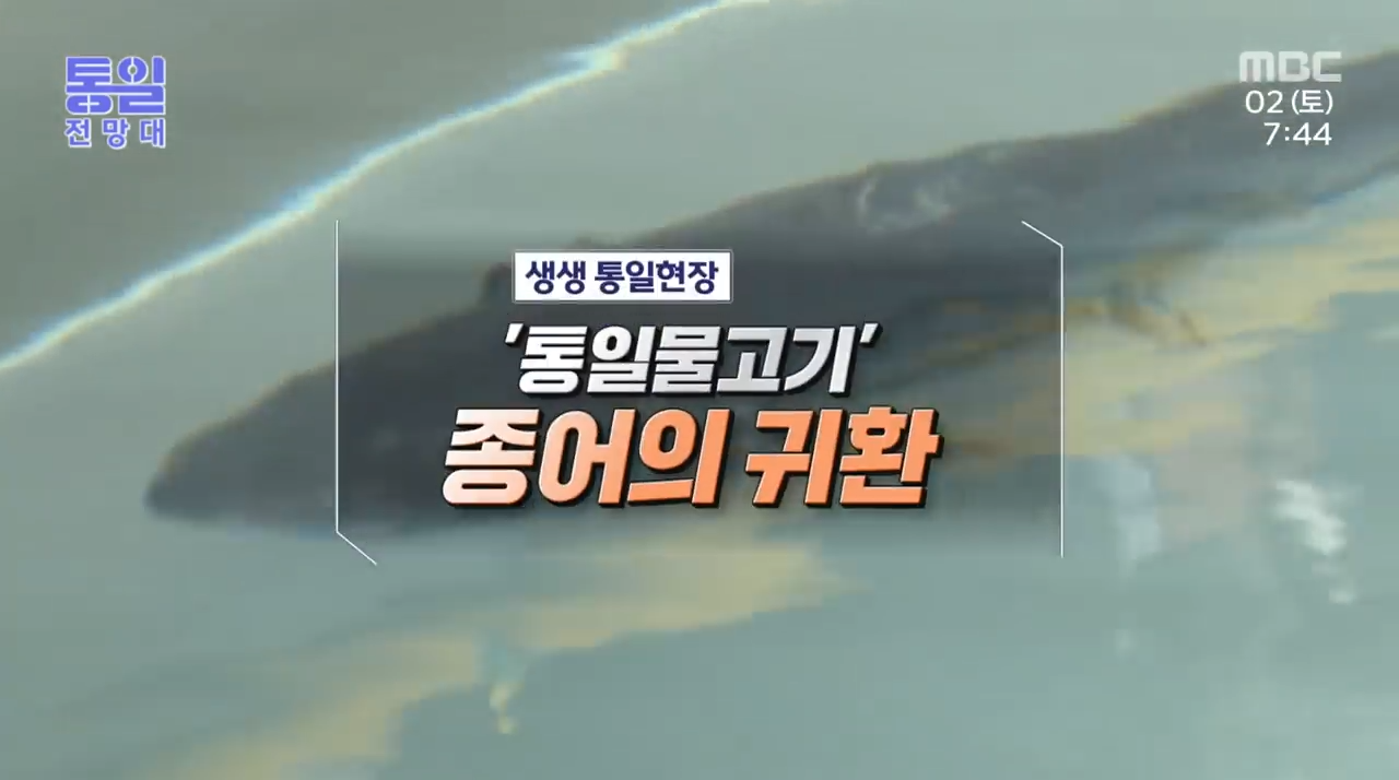 종어 관련 이미지 