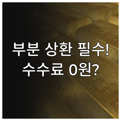 신한카드 오토할부 원금 잔액 부분 상..