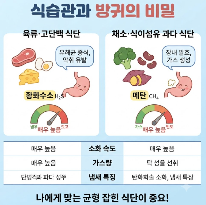 방귀 냄새 종류별 이유