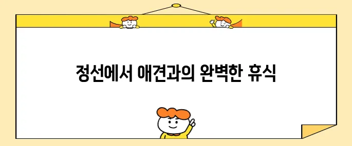 정선 여행에서 메이힐스 가성비 애견 동반 호텔 숙소를 추천합니다!