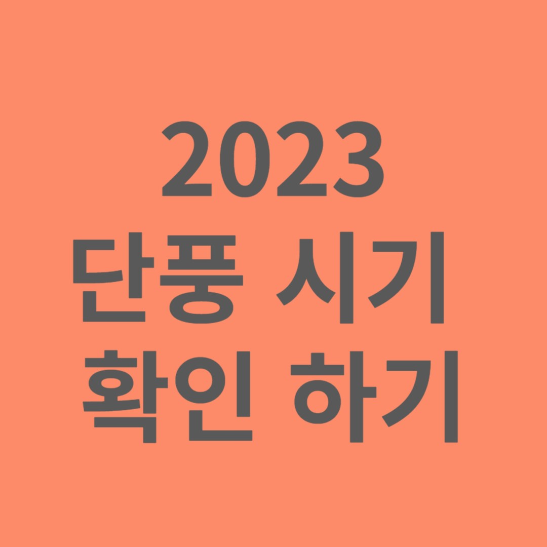 단풍 시기