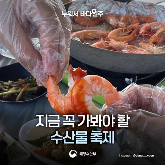 가을축제 대하 전어 꽃게 은갈치 홍성 남당항 서천 홍원항 광양 제주 서귀포 가을미식