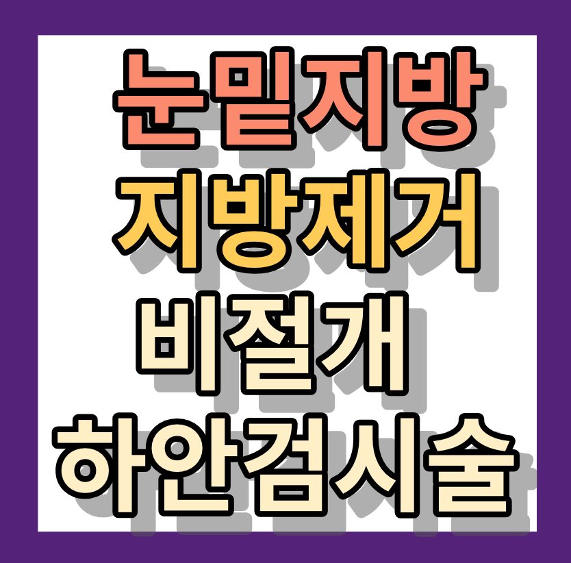 눈밑지방제거 <비절개 하안검시술>